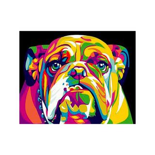 Figured'Art Peinture par numéros Bulldog Pop Art 