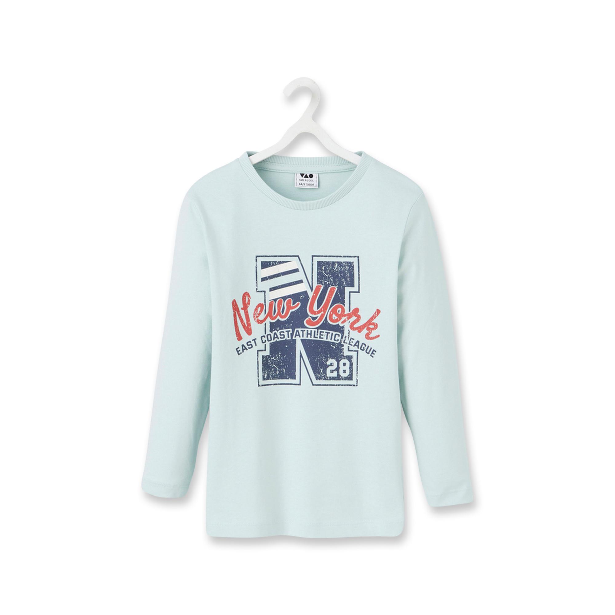 Image of T-shirt, Rundhals, Langarm Jungen Pistaziengrün 6A