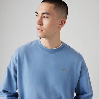Levi's® AUTHENTIC CREW GREENS Sweatshirt 