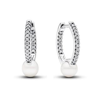 PANDORA Pandora Timeless Creolen 