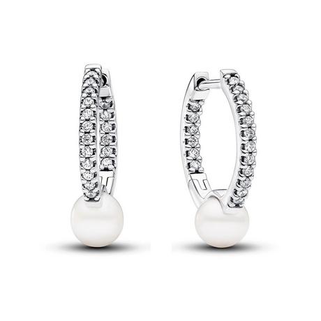 PANDORA Pandora Timeless Creolen 