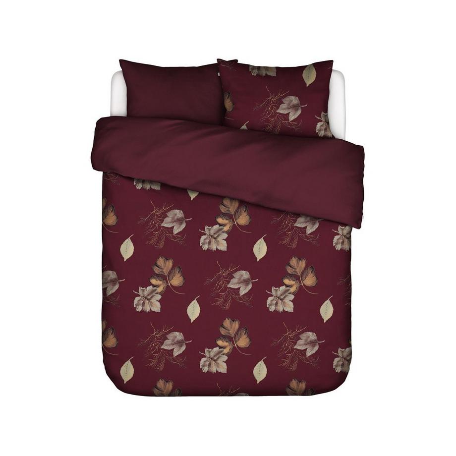 ESSENZA Elin Taie d'oreiller  