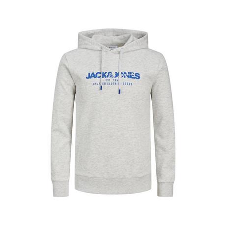 JACK & JONES JJALVIS SWEAT HOOD Hoodie 