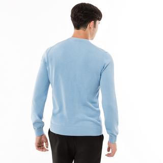 LACOSTE V-Ausschnitt Pullover  