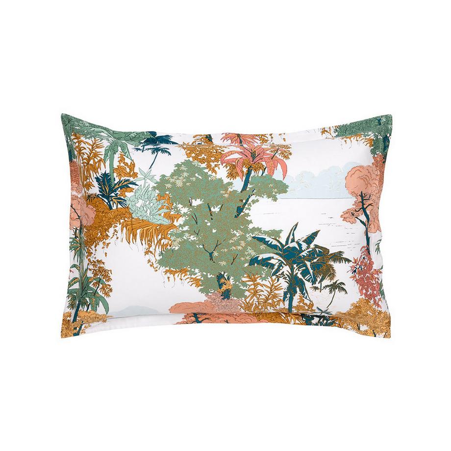 Olivier Desforges Linconnu Federa del cuscino  