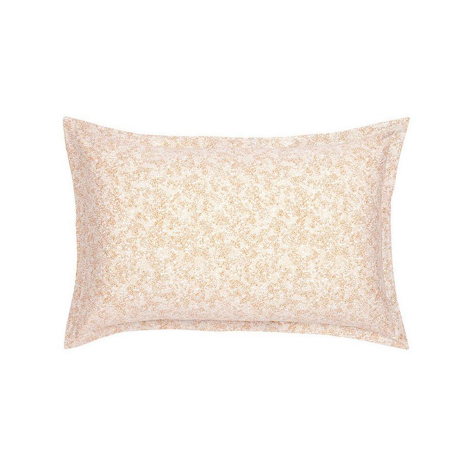 Olivier Desforges Linconnu Federa del cuscino  