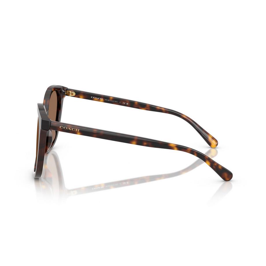 COACH Occhiali da sole Montatura tartarugata Lenti marroni  