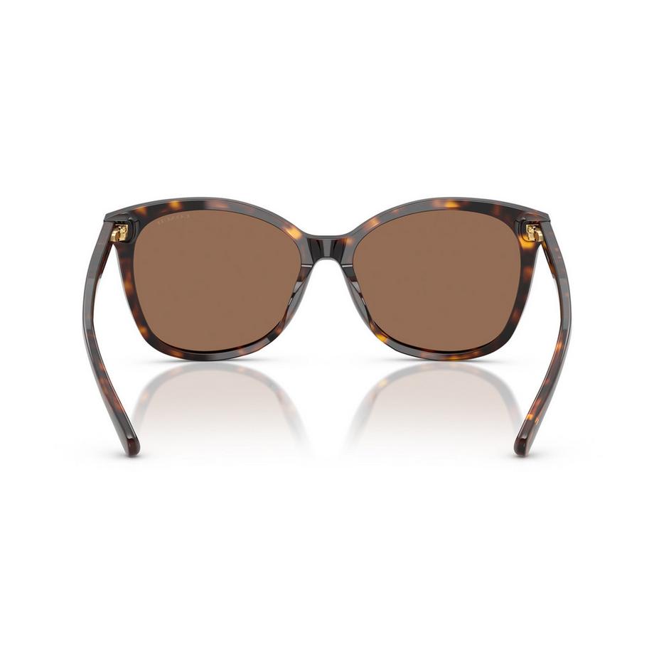 COACH Occhiali da sole Montatura tartarugata Lenti marroni  