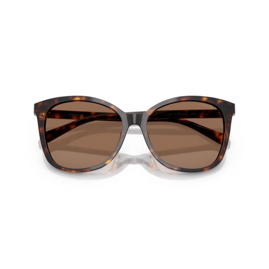 COACH Occhiali da sole Montatura tartarugata Lenti marroni  