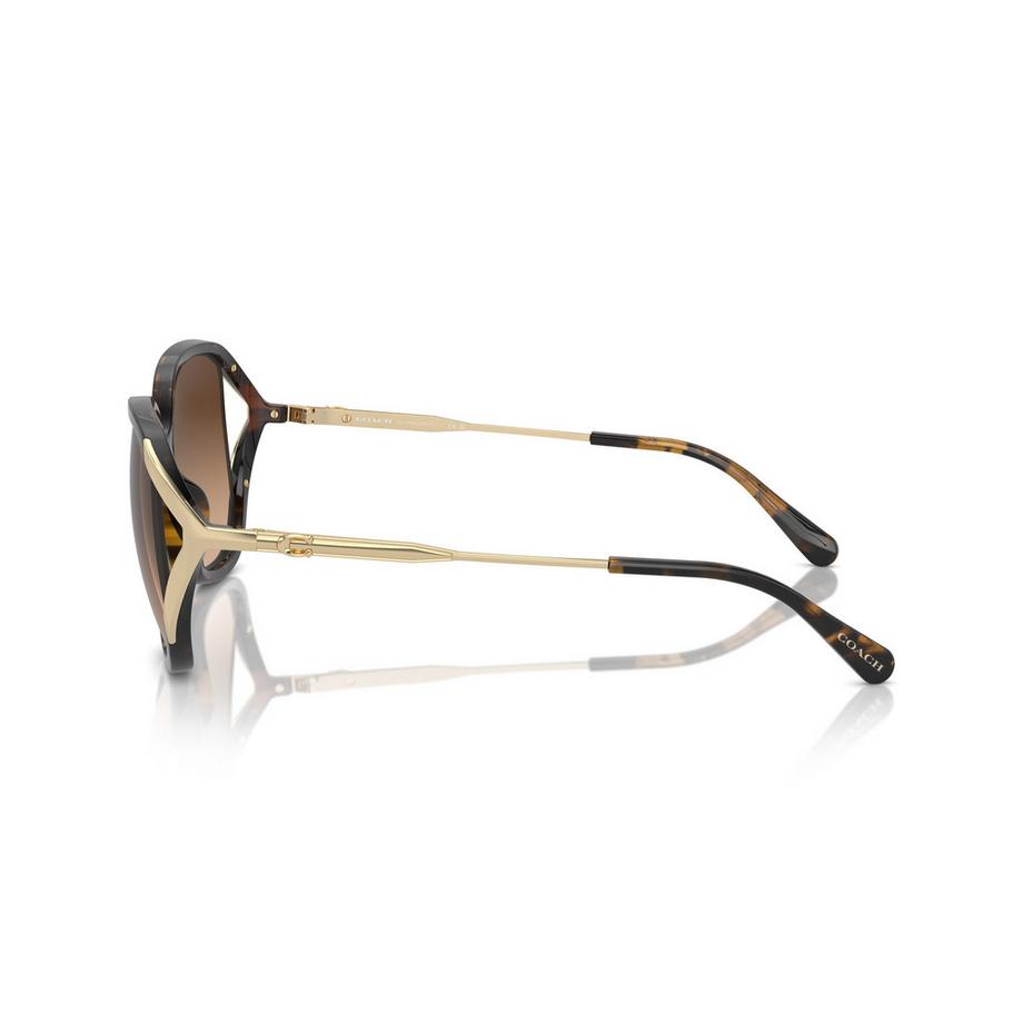 COACH Lunettes de Soleil Écaille de Tortue  