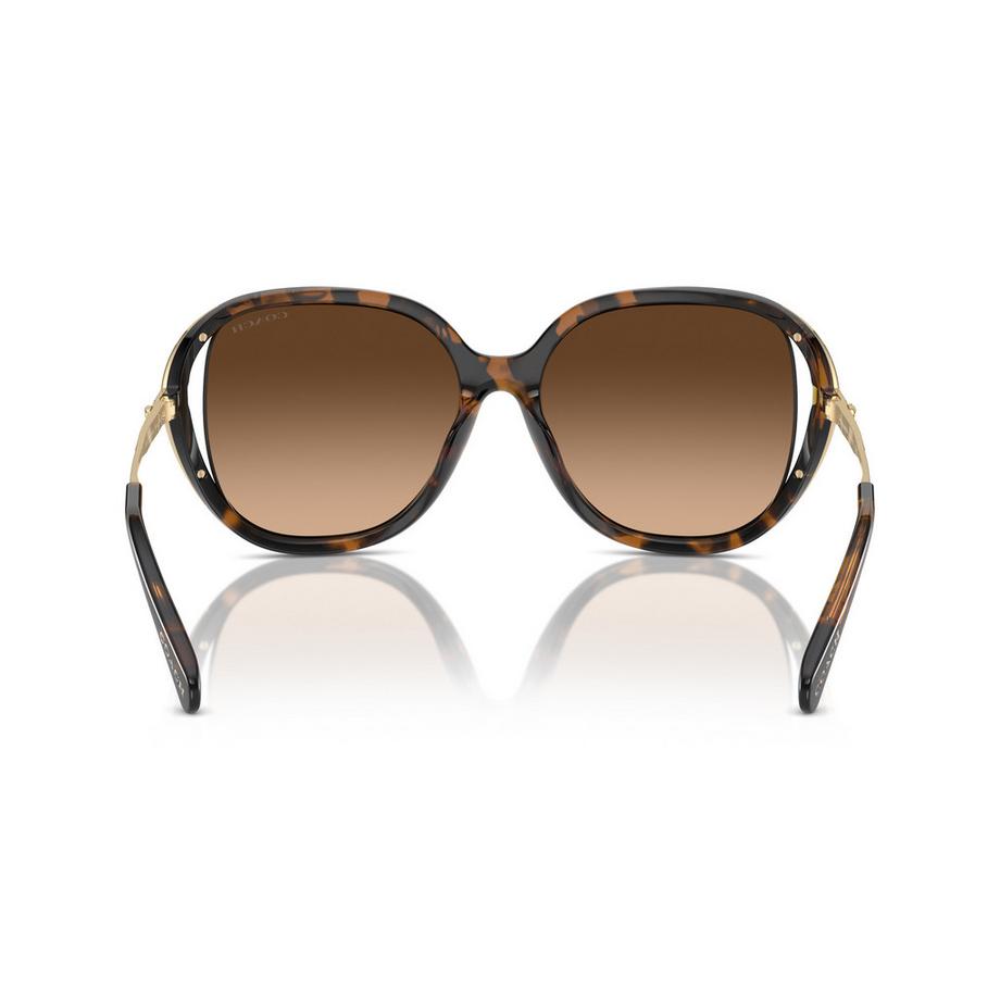 COACH Lunettes de Soleil Écaille de Tortue  