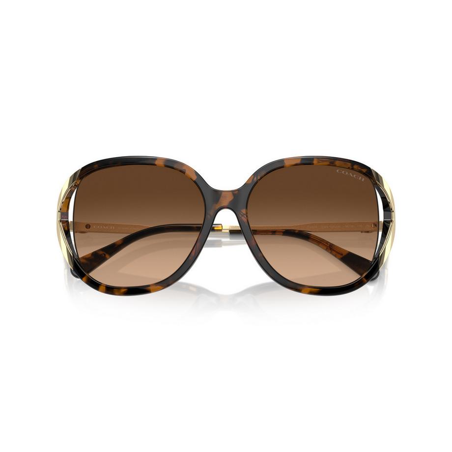 COACH Lunettes de Soleil Écaille de Tortue  