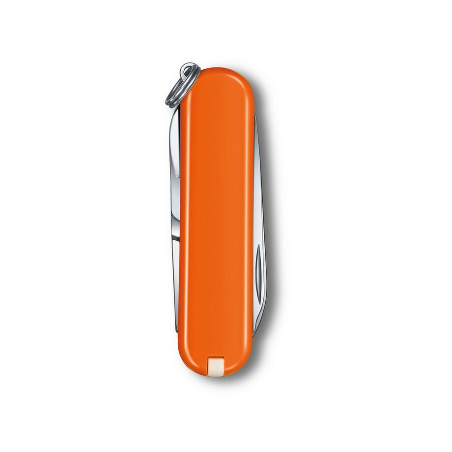VICTORINOX Taschenmesser Classic SD Mango Tango 