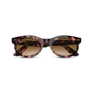 Ray Ban Ovale Sonnenbrille  