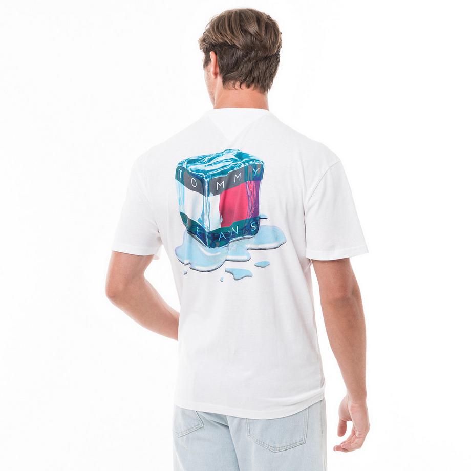 TOMMY JEANS TJM REG FUN NOVELTY TEE Regular Fit T-Shirt  