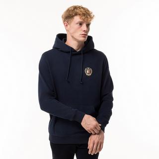 TOMMY JEANS TJM REG TJ FLAG CREST HOOD EXT Hoodie 