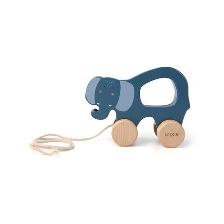 Trixie  Giochi d'attività 