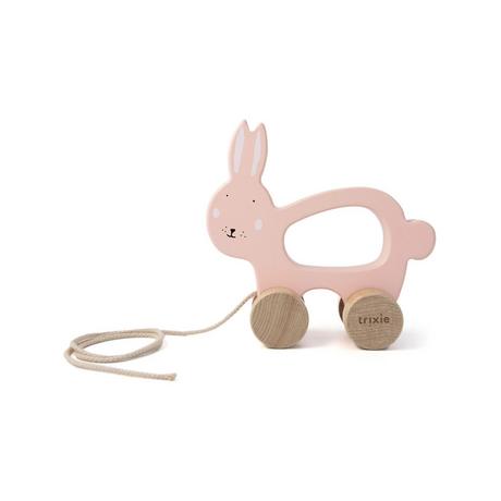 Trixie  Giochi d'attività 