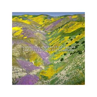 Guerlain Aqua Allegoria Florabloom Eau de Toilette  