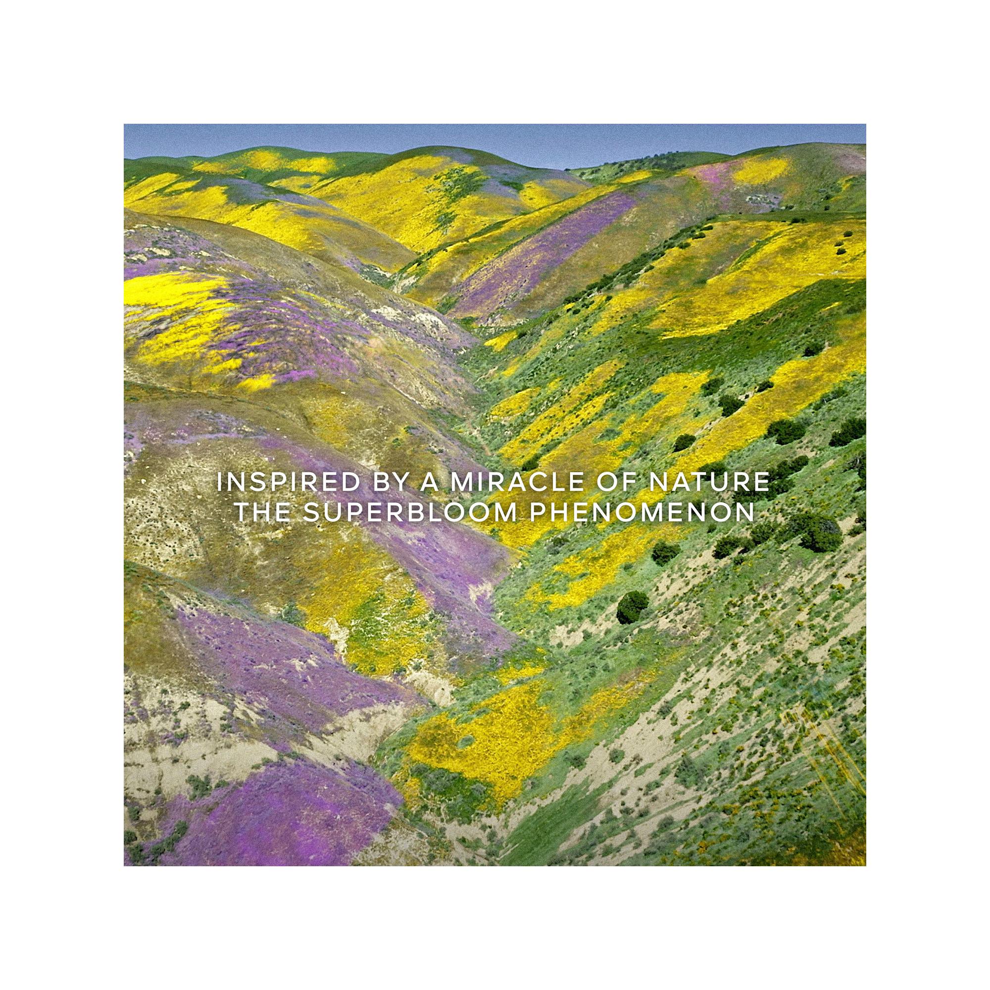 Guerlain Aqua Allegoria Florabloom Eau de Toilette Refill  