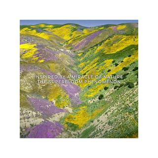 Guerlain Aqua Allegoria Florabloom Eau de Toilette Refill  