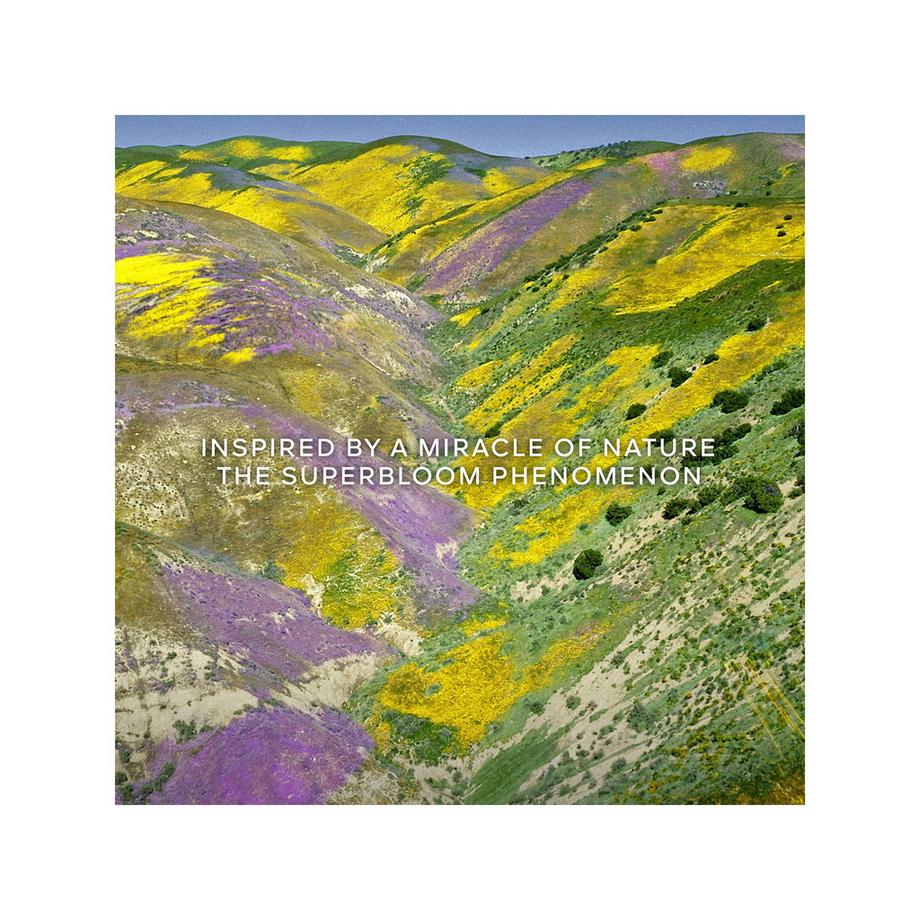 Guerlain Aqua Allegoria Florabloom Eau de Toilette Refill  