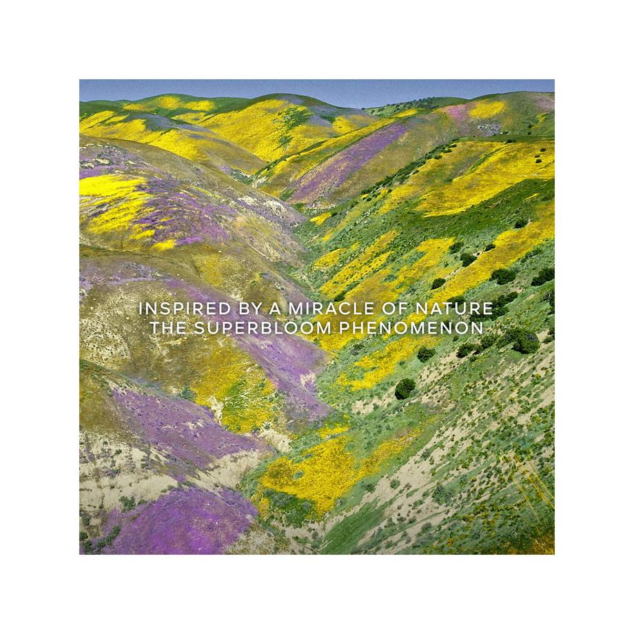 Guerlain Aqua Allegoria Florabloom Forte Eau de Parfum  