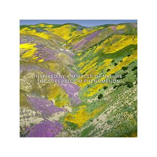 Guerlain Aqua Allegoria Florabloom Forte Eau de Parfum Refill  