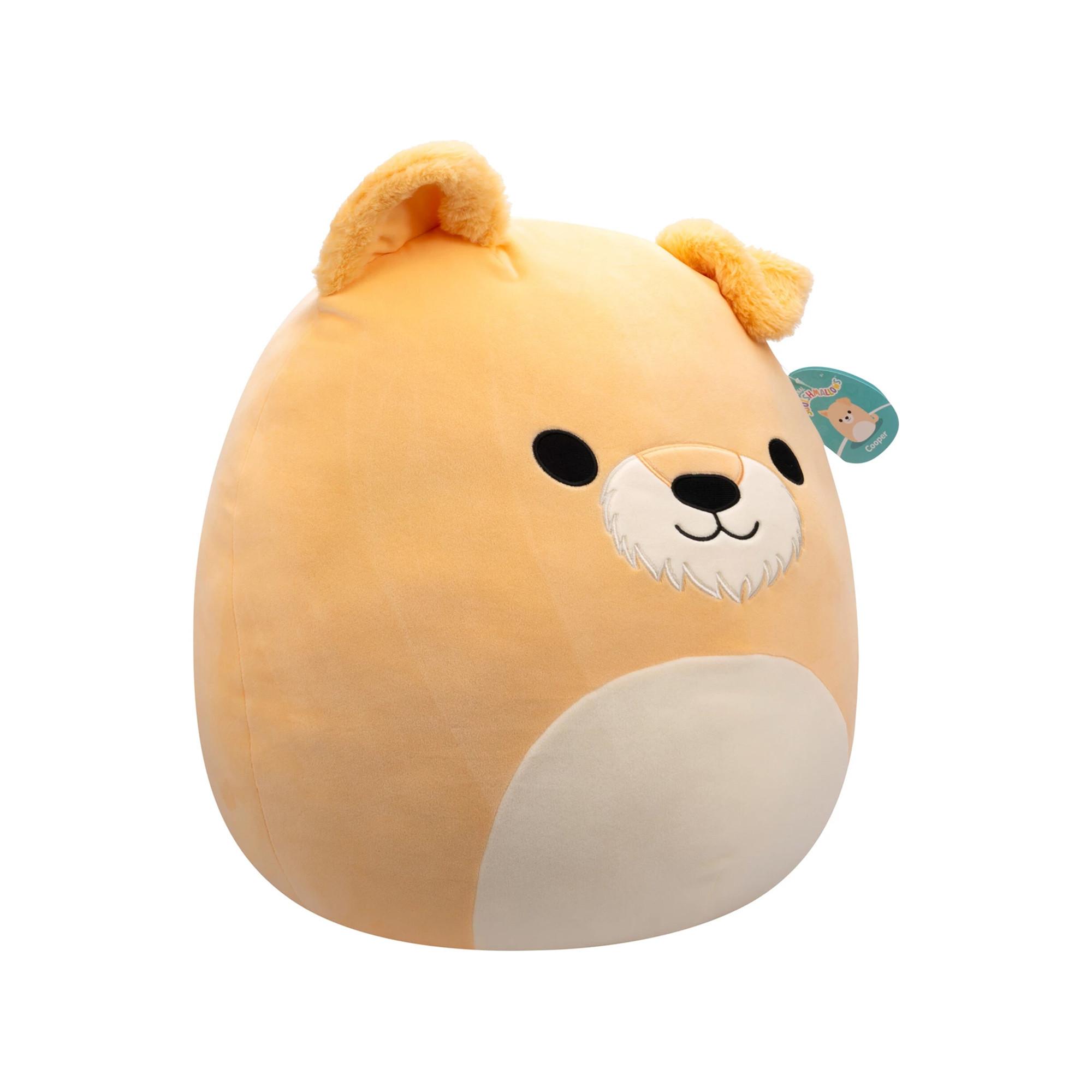 Squishmallows  Cane Cooper 