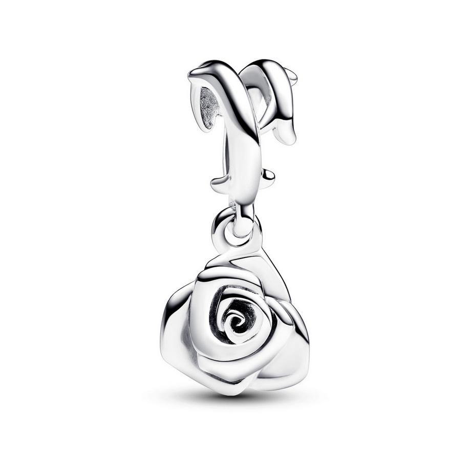 PANDORA Pandora Moments Charm 