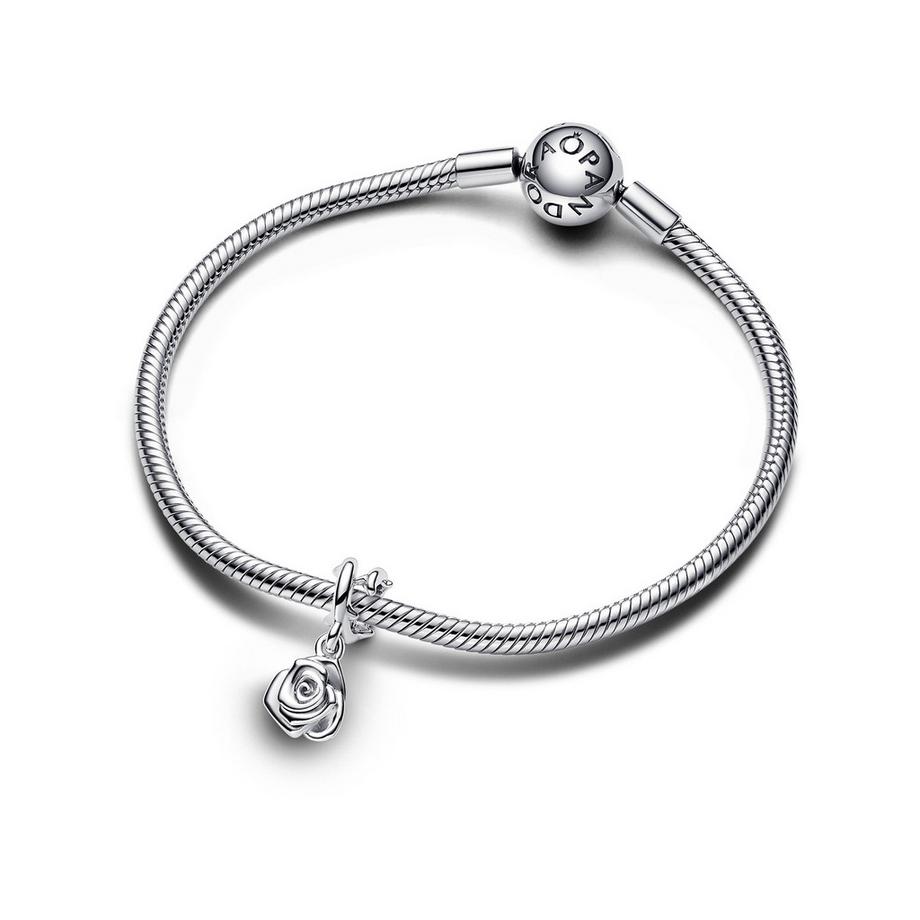 PANDORA Pandora Moments Charm 