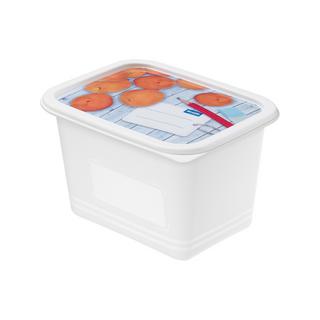 rotho Tiefkühldosen-Set Domino 