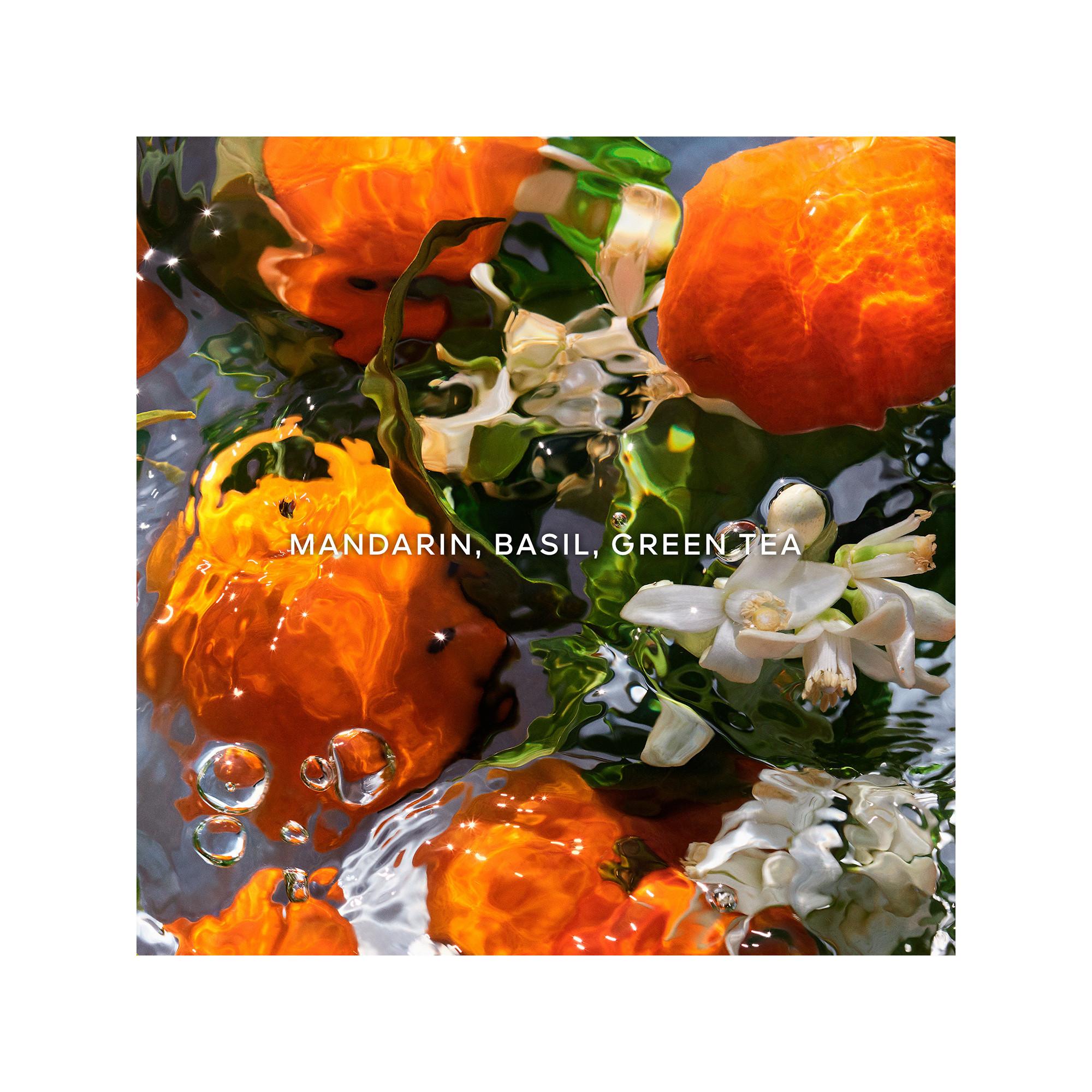 Guerlain AQUA ALLEGORIA Aqua Allegoria Mandarine Basilic - Eau de Toilette Gift Set 