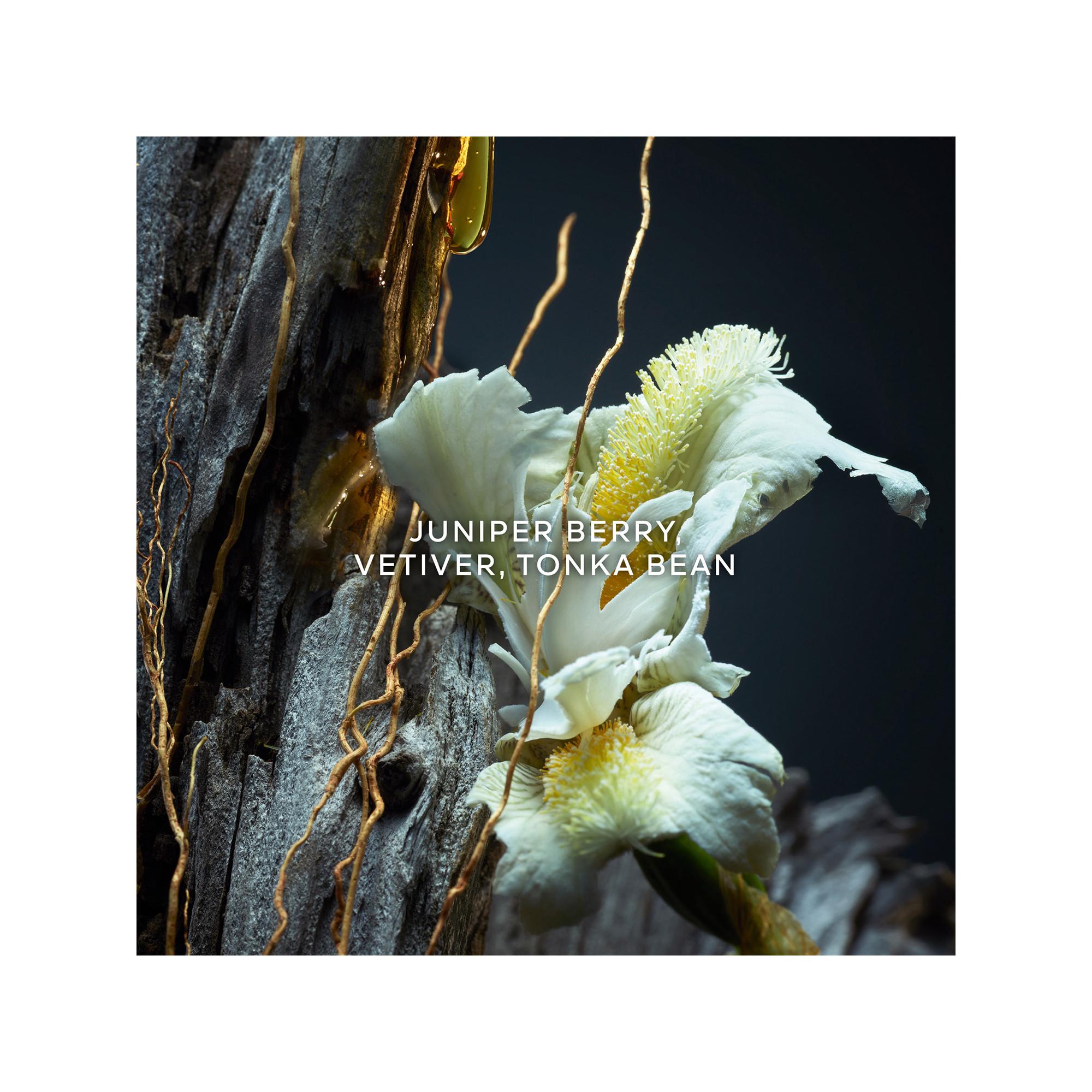 Guerlain Vétiver Le Parfum Eau de Parfum  