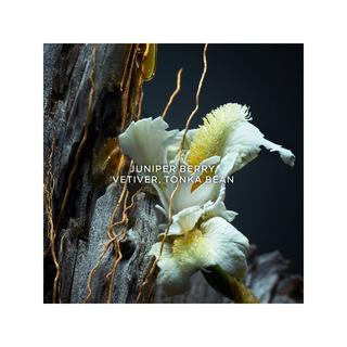 Guerlain Vétiver Le Parfum Eau de Parfum  