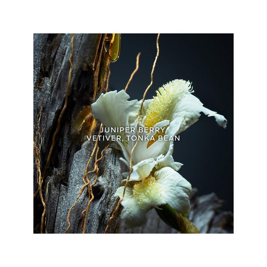 Guerlain Vétiver Le Parfum Eau de Parfum  