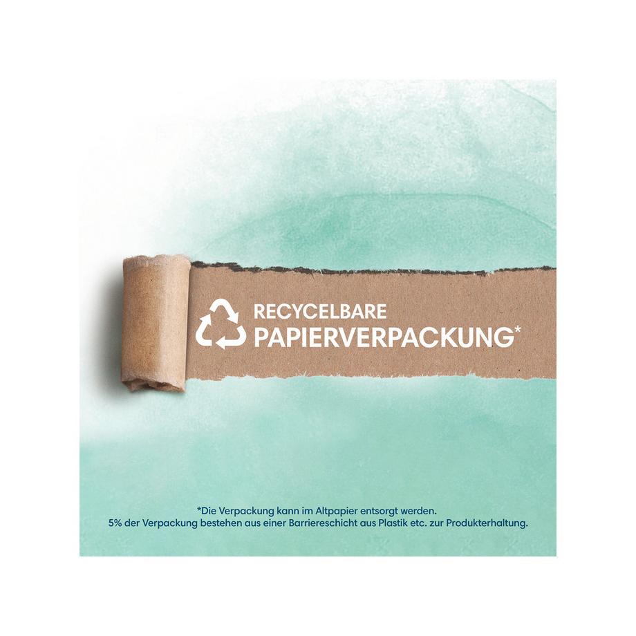 Pampers  Harmonie Gr.3 Midi 6-10kg Boîte mensuelle 