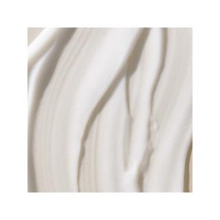 LIVING PROOF  No Frizz Smooth Styling Cream - Crème coiffant anti-frisottis 