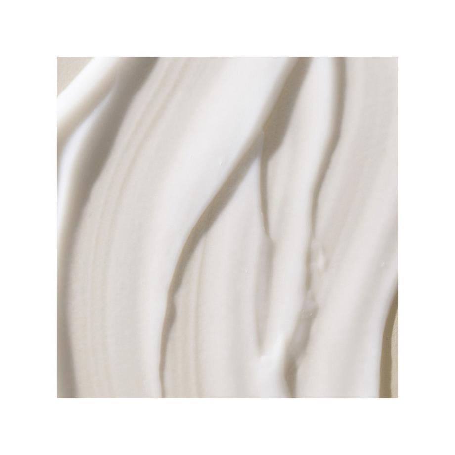 LIVING PROOF  No Frizz Smooth Styling Cream - Anti-Frizz Stylingcreme 