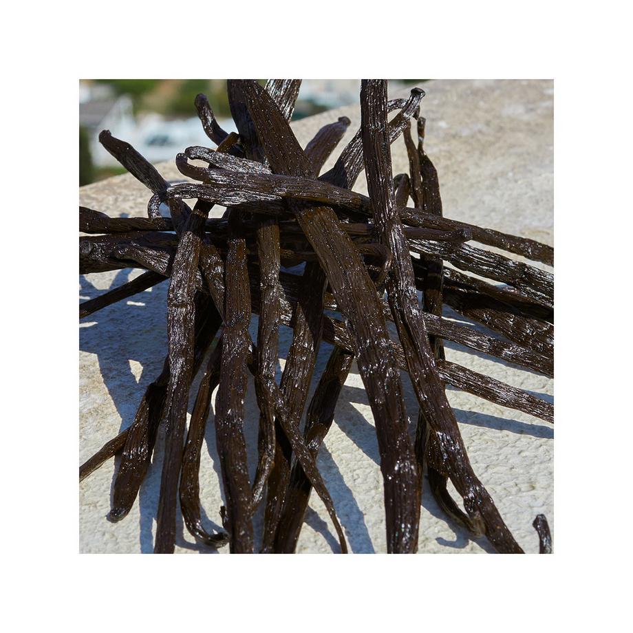 DOLCE&GABBANA Devotion Eau de Parfum Refill  