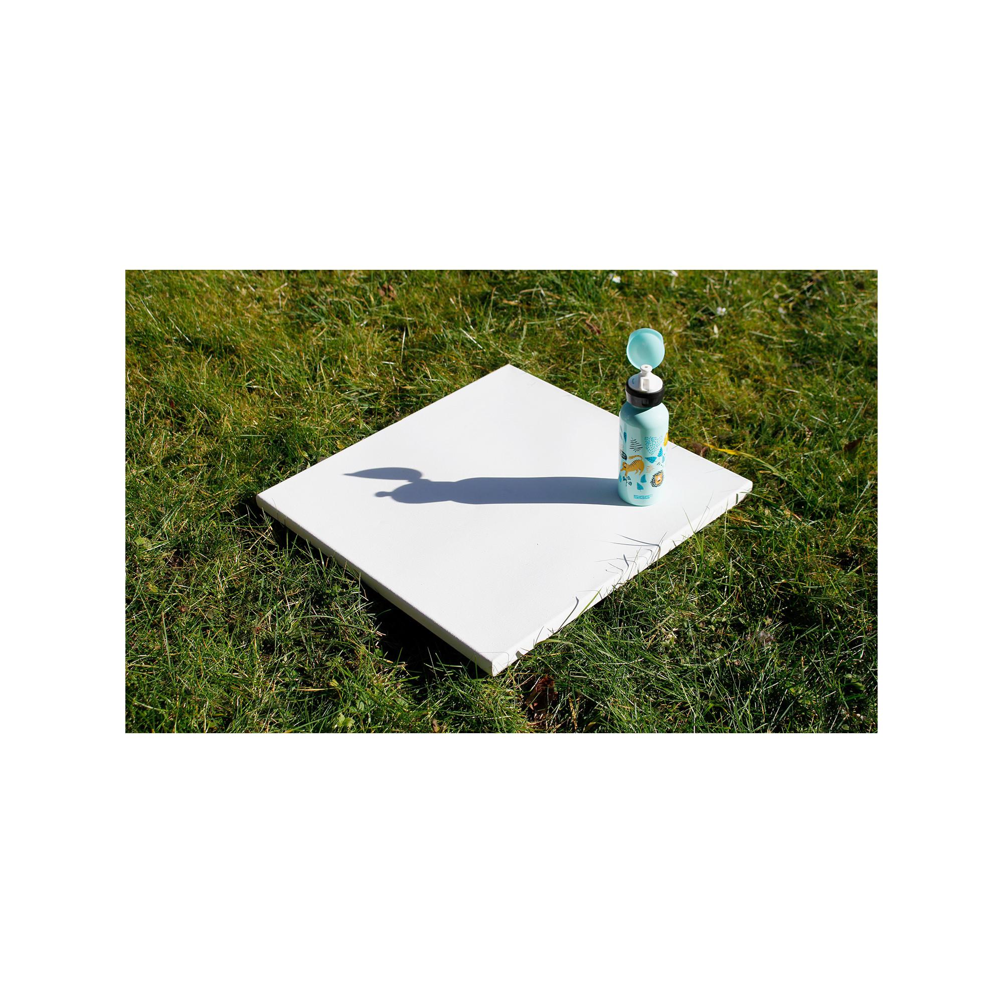 SIGG Trinkflasche Jungle 