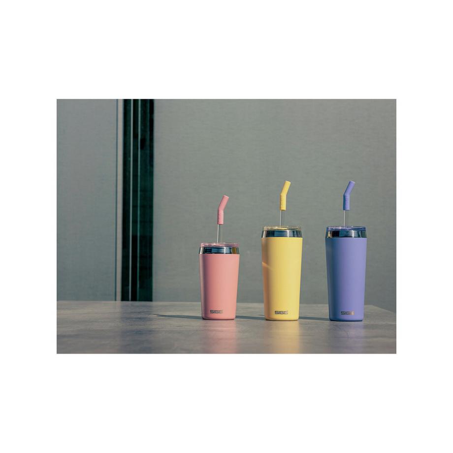 SIGG Contenitore isolante Helia 