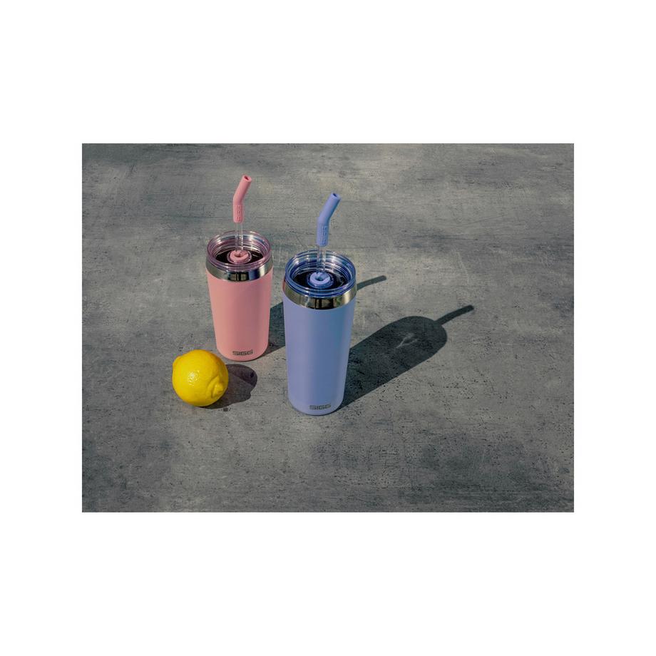 SIGG Contenitore isolante Helia 