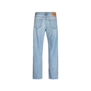 JACK & JONES Eddie Cooper AM 068 Loose Fit Jeans  