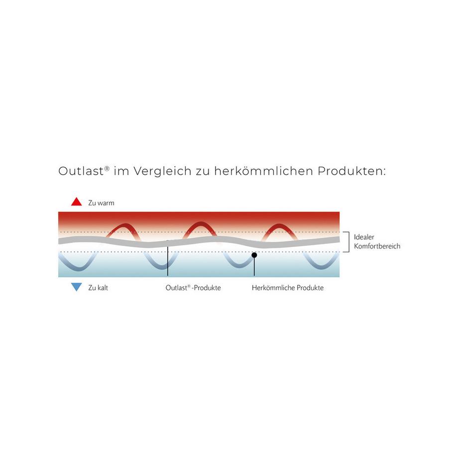 Swiss Dream Clima Soft Pillow Basic 90 1-Kammer-Federkissen  