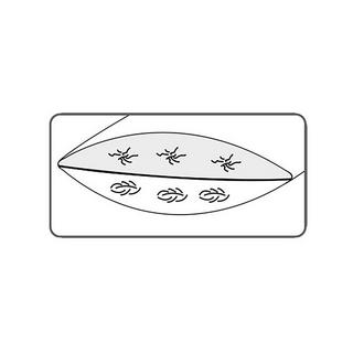 DOR Beautysleep Cuscino a due camere  