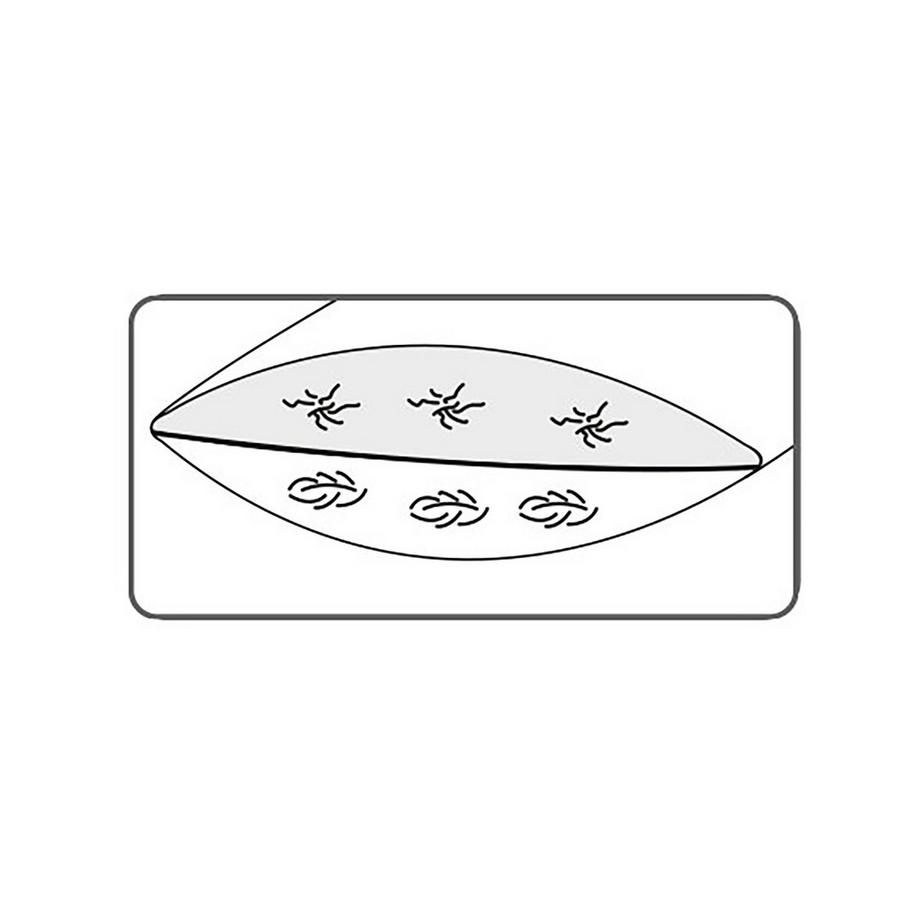 DOR Beautysleep 2-Kammer-Kissen  