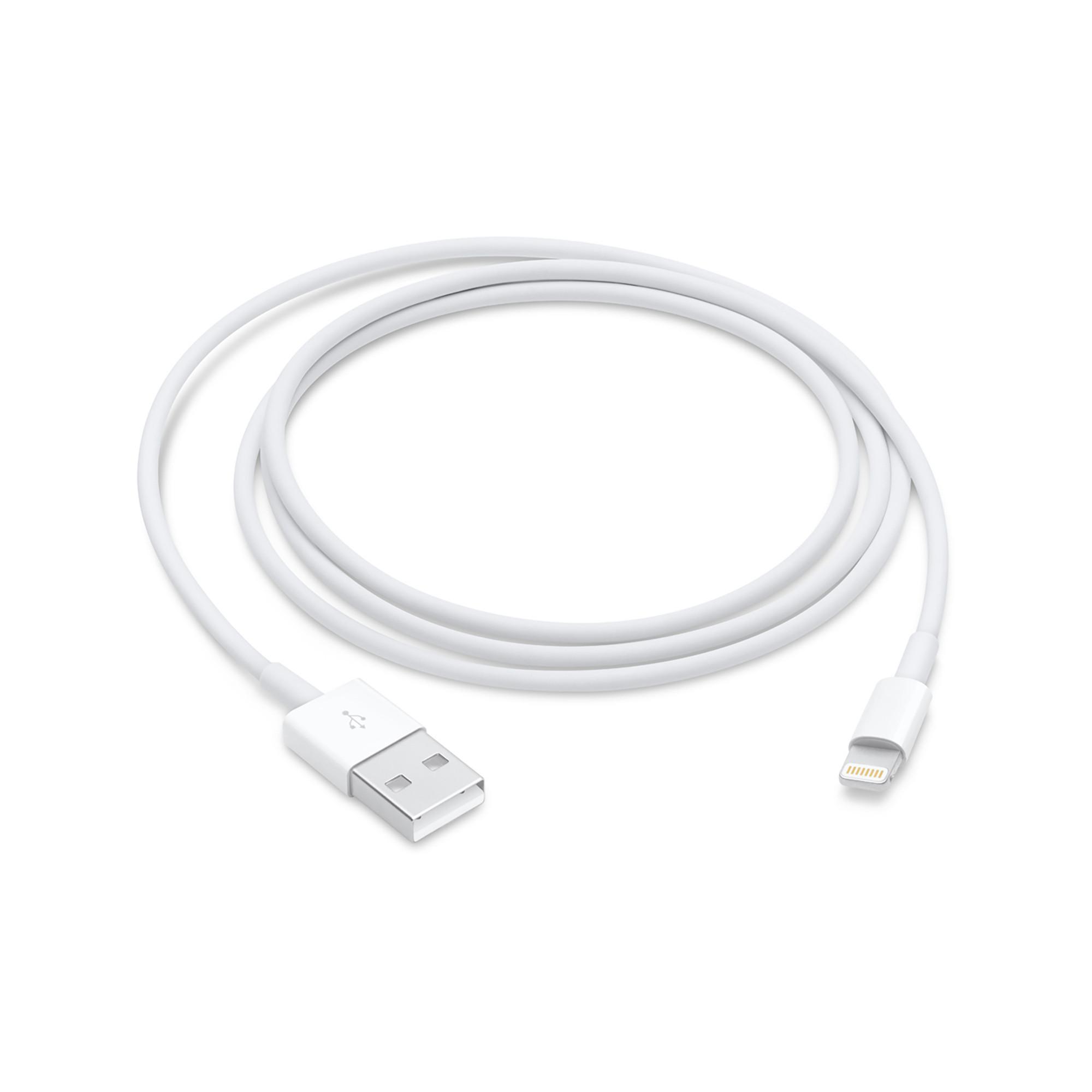 Apple Lightning to USB Cable (1m) Câble USB-C de recharge/synchronisation
 