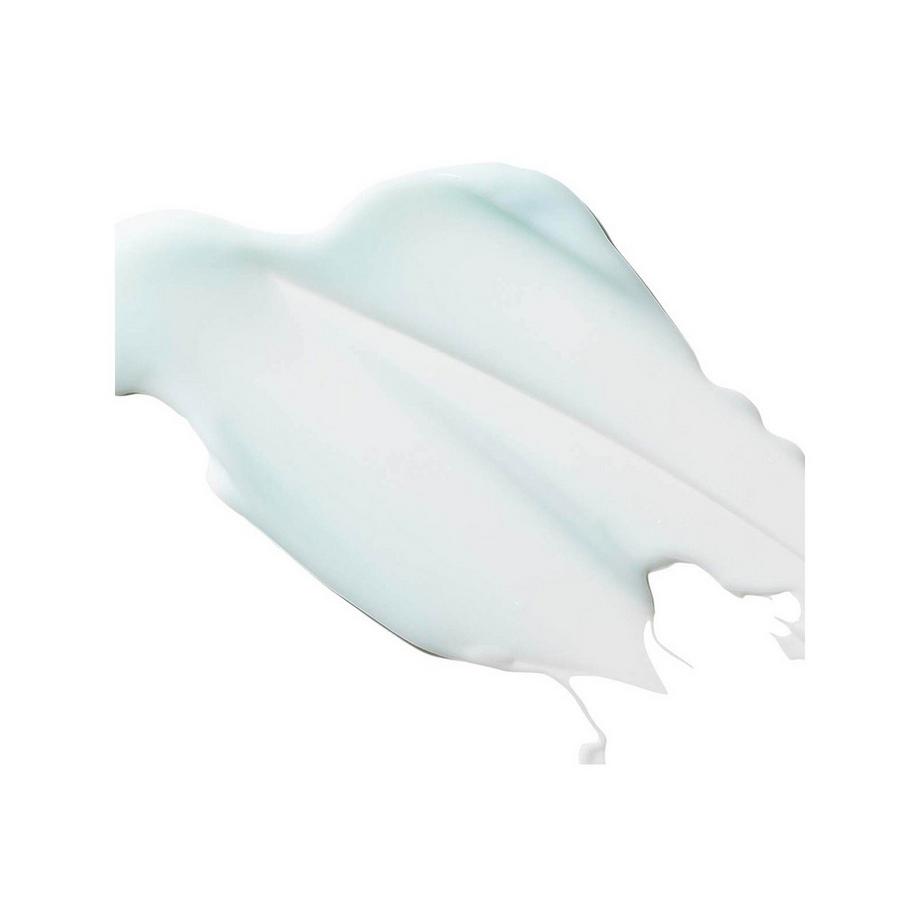 Dr Dennis Gross  Hyaluronic Marine™ Oil-Free Moisture Cushion 