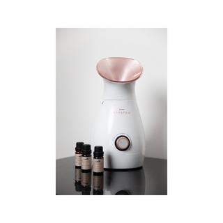 STYLPRO Sauna faciale ionique 4 en 1 Stp 4in1 Ionic Facial Steamer 